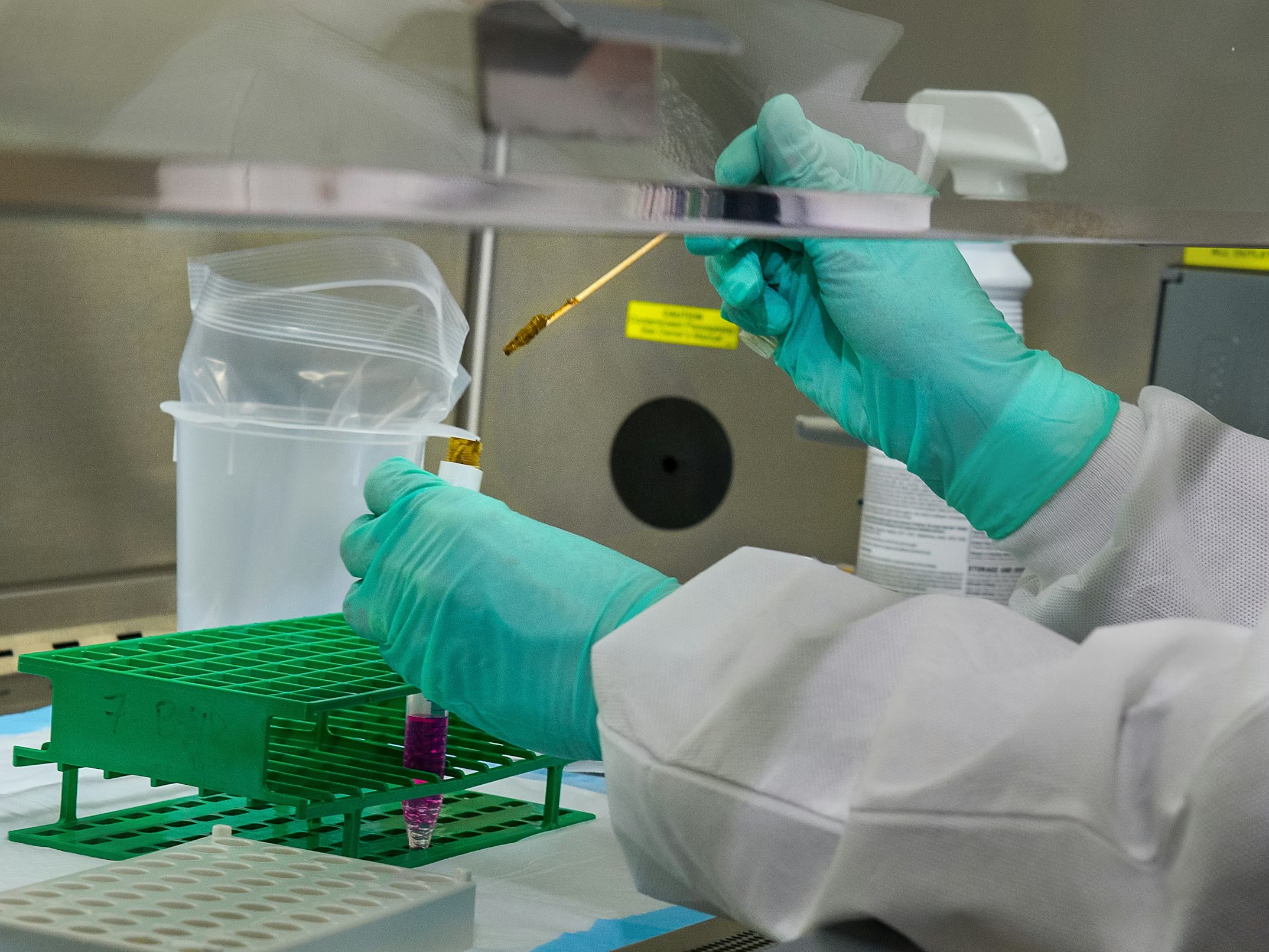 CDC scientist was shown adding a stool sample to the cell culture medium