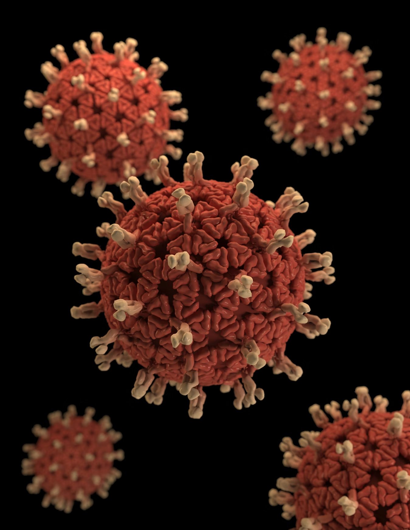 3D graphical representation of a number of Rotavirus virions